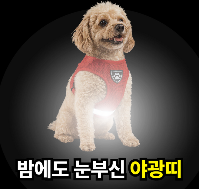 펄빈 자체발광 강아지 야광 하네스, 레드