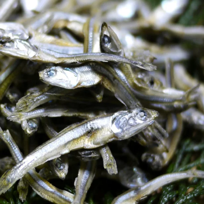 [국내산멸치할인특가]]30년장인직송 바다의감칠맛 중멸치 볶음용안주용 고바멸치, 1박스, 500g