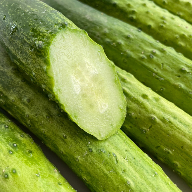 [산지직송] 백다다기오이 백오이, 1개, 백다다기 오이 2kg