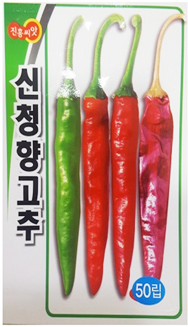 신청향고추 씨앗 종자 씨, 5개