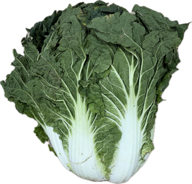 클릭마켓 국내산 해남 배추 특품, 1개, 3kg