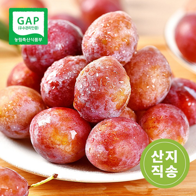 [산지직송] 추희자두 고당도 햇자두 꿀자두 노지 자두, 1개, 중대과 1kg