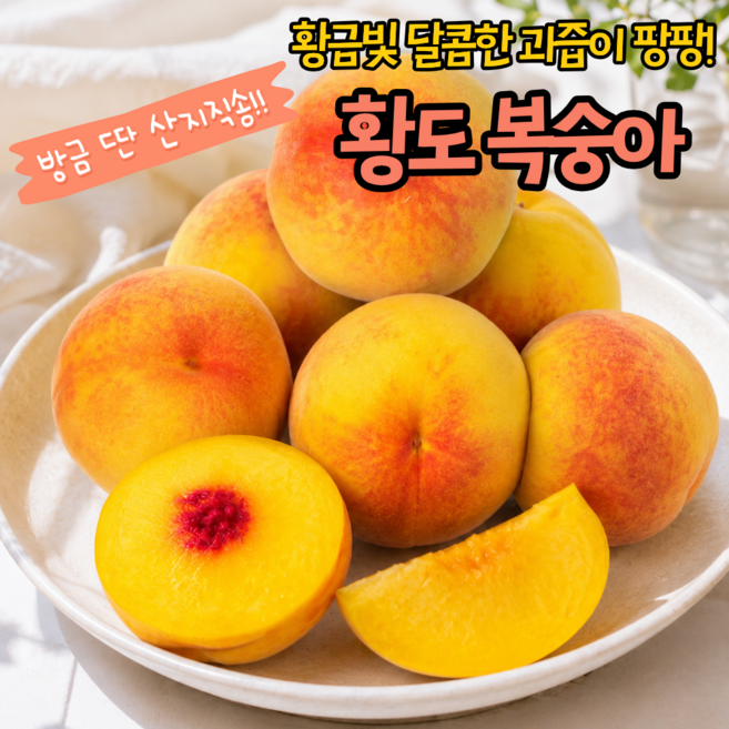 [품절주의] 갓수확 황도복숭아 열매담엄선 황금빛과즙, 1박스, 중대과 2kg(열매담)