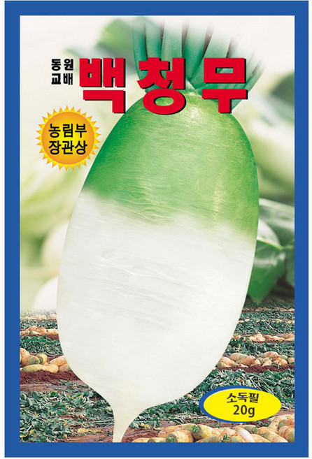 AR 백청무 맛 근형 저장성 최고품종 씨앗, 1개