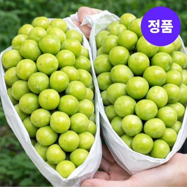 청년농원 당도보장 씨없는 고당도 포도 샤인머스캣, 1박스, 1.5kg