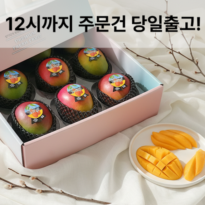 [망고성지] 항공직송 고당도 애플망고 선물세트 당도선별, 1박스, 항공직송 애플망고 9과 (4KG내외)