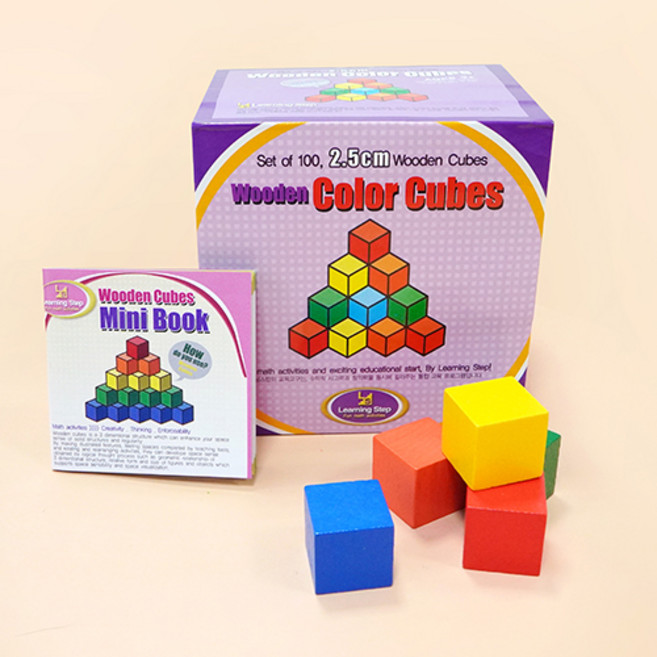 러닝스텝 고급 칼라 비치목 쌓기나무 100p (미니북 포함), 1개