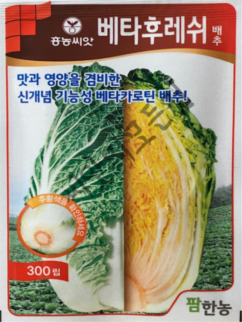 베타후레쉬 배추씨앗 300립 기능성 가을김장 베타카로틴 청방 저장성우수 햇종자 항암, 1개
