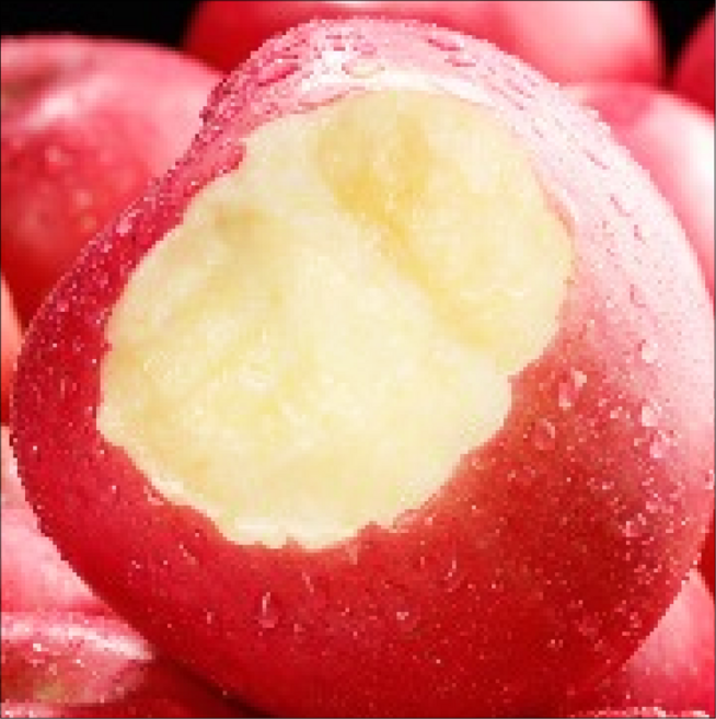 [유통마진제로] 꿀가성비 초고당도Brix 가정용 부사사과, 1개, 1kg