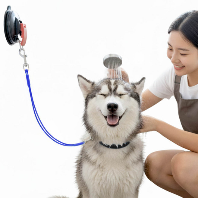 견행묘행 강아지 고양이 목욕 리쉬 미용 목줄, 1개, 블루