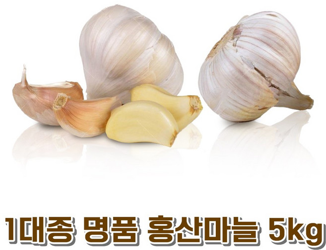 홍산마늘종자 추천 순위 TOP6 — 2026년 10월 기준