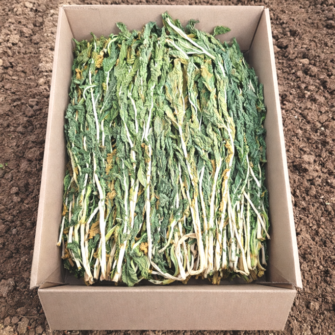 [최상위 품질]산지직송 프리미엄 청정자연 산청 건시래기 말린시래기 시래기, 1박스, 500g