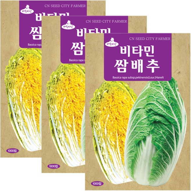 세인화분 비타민 쌈배추 1000립 - 국산 배추 씨 씨앗, 3개