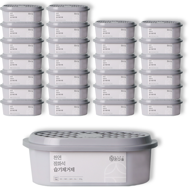 온다숲 반영구 천연제습제 습기제거제 정화석 탈취까지, 300g, 27개