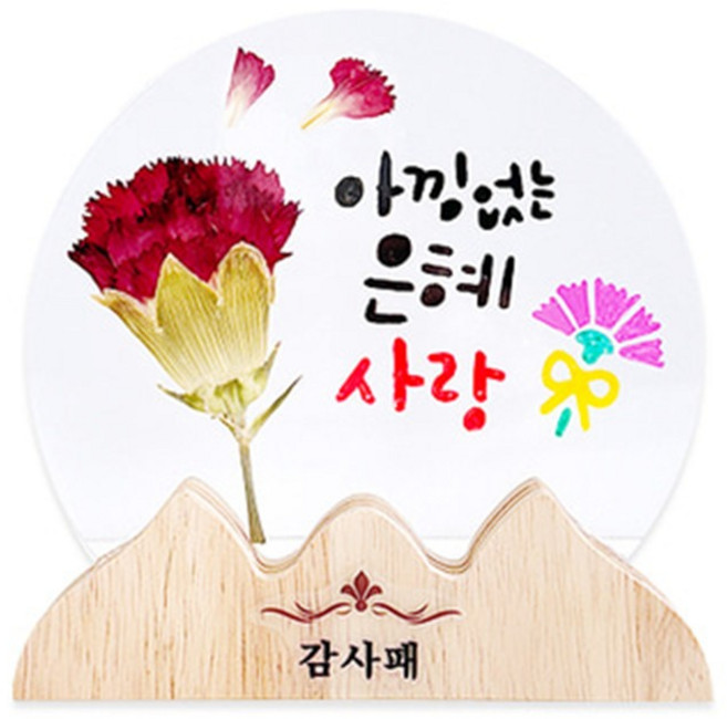 카네이션 압화 감사패 만들기 1인용 문화센터 교육기관 어린이 부모님선물 유아