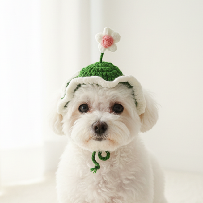 미유틱 고양이 강아지 모자 보닛, 1개, 2. 그린