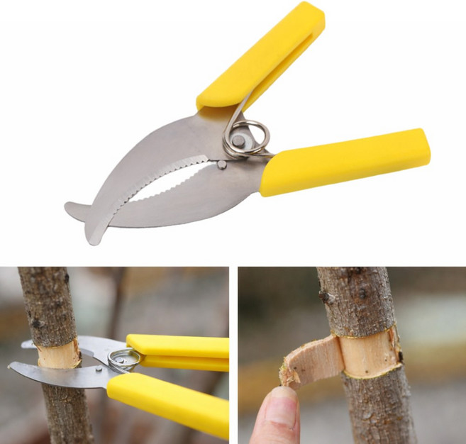 굿캐치 과수 환상박피기 나무줄기 껍질커터-옐로우, 1개