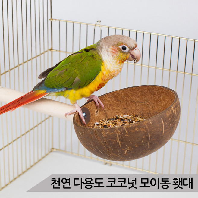 천연 다용도 코코넛 모이통 횃대 앵무새횟대 장난감, 1개