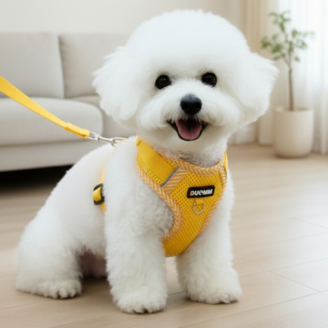 소유담 강아지 하네스 반려동물 가슴줄 세트, 엘로우, 1개