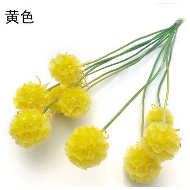 風車果 松蟲果 乾燥花 永生花 DIY花材 拍照道具 花束 居家裝飾, 黃色(一支一球)
