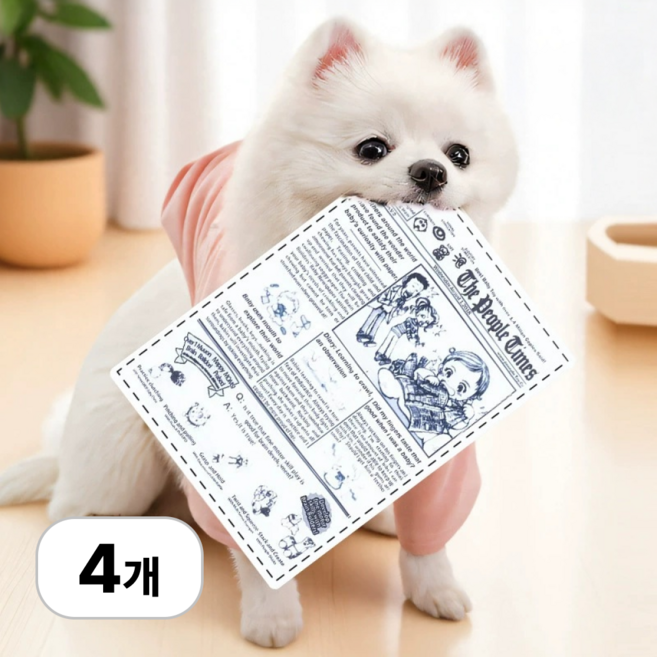 로멀리 강아지 바스락 신문지 장난감, 4개, 혼합색상