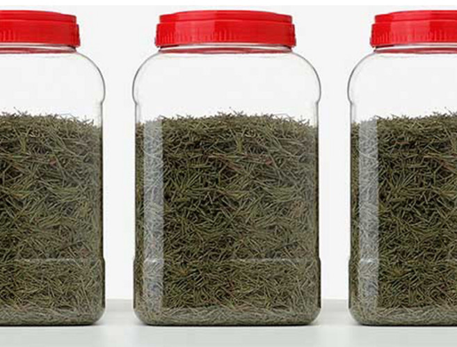 GOURD POT 솔잎 600g +6L용기, 1개