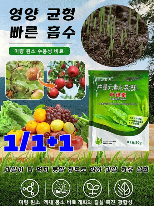 1/1+1 폭풍성장 다수확 채소용 수용성 비료 고급식물영양제 복합비료 하이그린비료, 50g