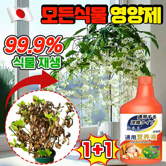 [쉬움 사용] 모든식물 영양제 화분 영양제 행잉자스민 화분 개화촉진제 꽃 식물 토양 영양제 사은품 랜덤증정, 2개, 499g