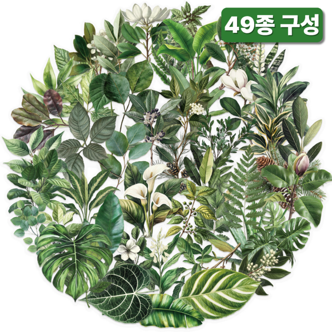 라피레인 다꾸스티커 세트 빈티지 다이어리 꾸미기 스티커팩, 1세트, 내추럴 그린 보태니컬