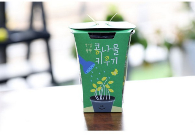 [아슬샵] 식목일키트 개구리연못에서자라는 콩나물키우기 새싹키우기