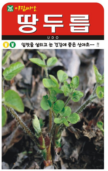 [팜앤리빙] 땅두릅 씨앗 200립 두릅씨 종자, 1개