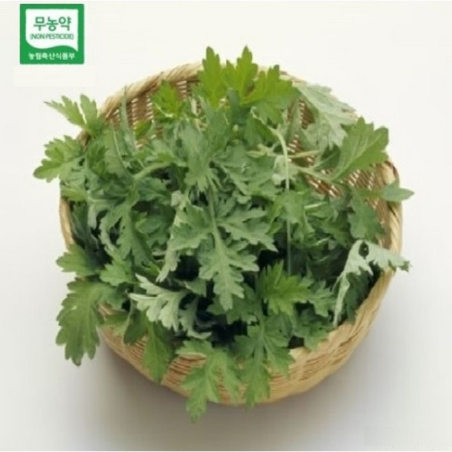 BRM연구소 무농약 쑥 480g 생생정보 생쑥 햇 쑥 나물, 1개