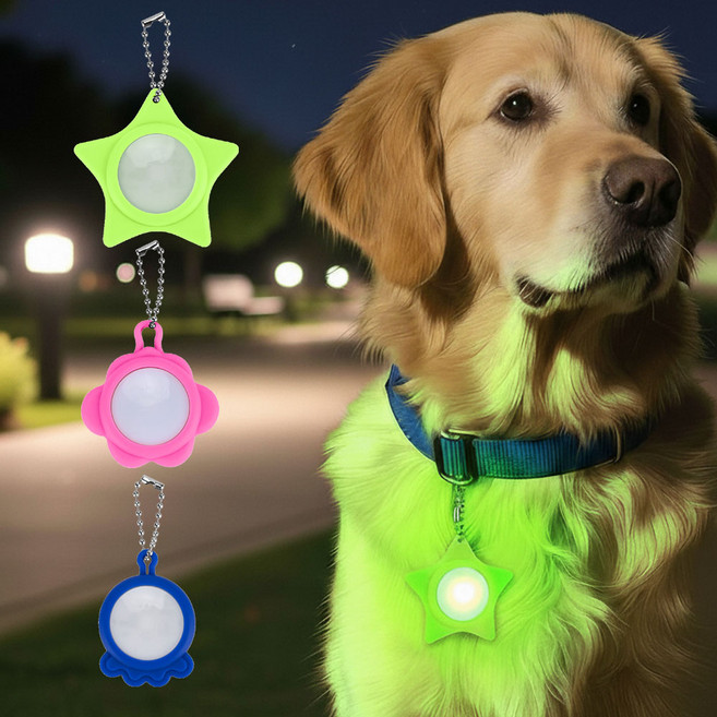 하니펫 강아지 야간산책 충전식 LED 라이트 Star, 1개, 블루