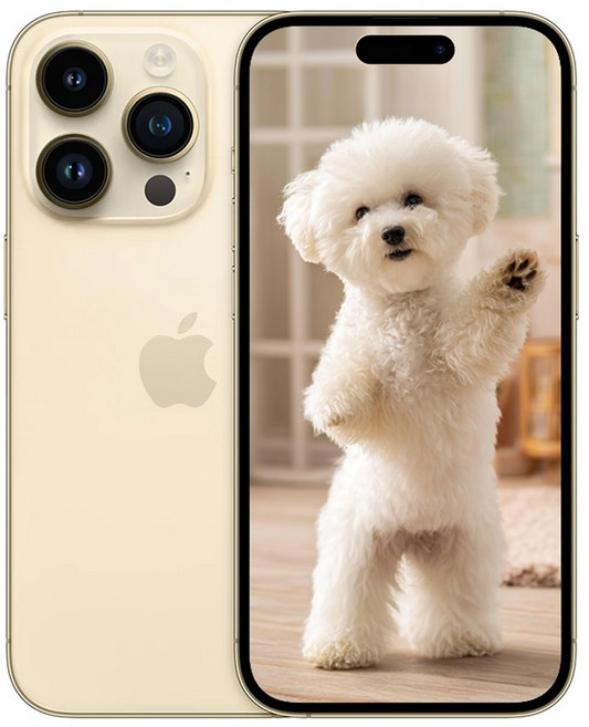 아E폰 14 프로 맥스 미개봉 새상품, 128GB, Apple 아이폰 14 Pro Max 골드