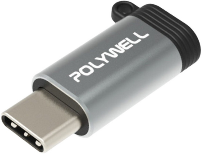 POLYWELL 蘋果充電線轉接器 Type-C To Lightning母 可充電 可傳輸 寶利威爾【DZ0217], 銀色, 1個, 2.7cm