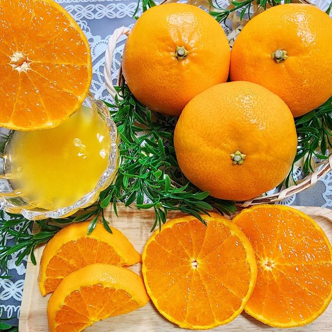[맛없음반품] 새콤달콤 천혜향 산지직송 선물용 가정용, 가정용포장, 천혜향 소과 5kg(32과 이상), 1박스