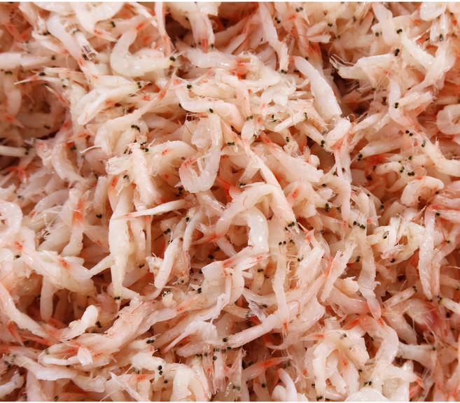 [엄다식품] 100% 국산 추젓 새우젓 HACCP 인증 5kg 10kg, 1개