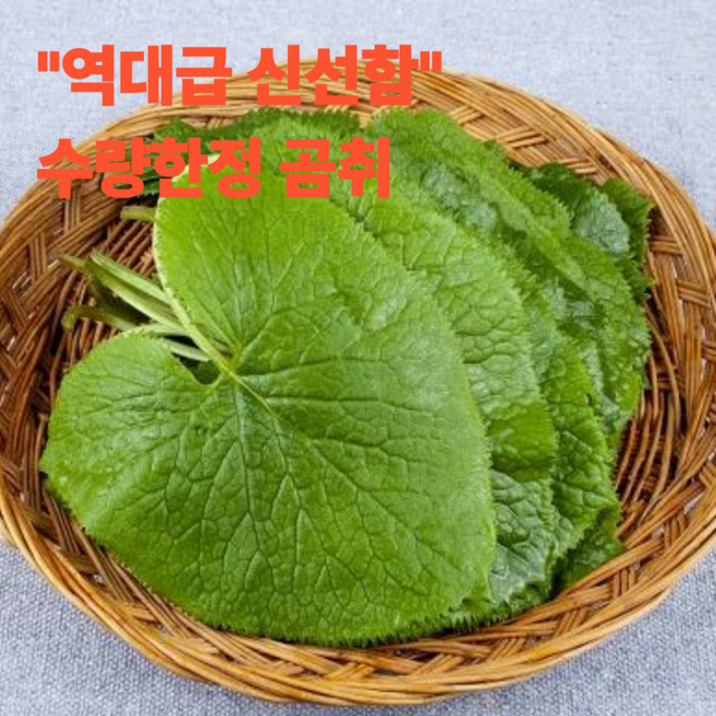 오늘만 활인특가 곰취 프리미엄 특품, 1박스, 200g