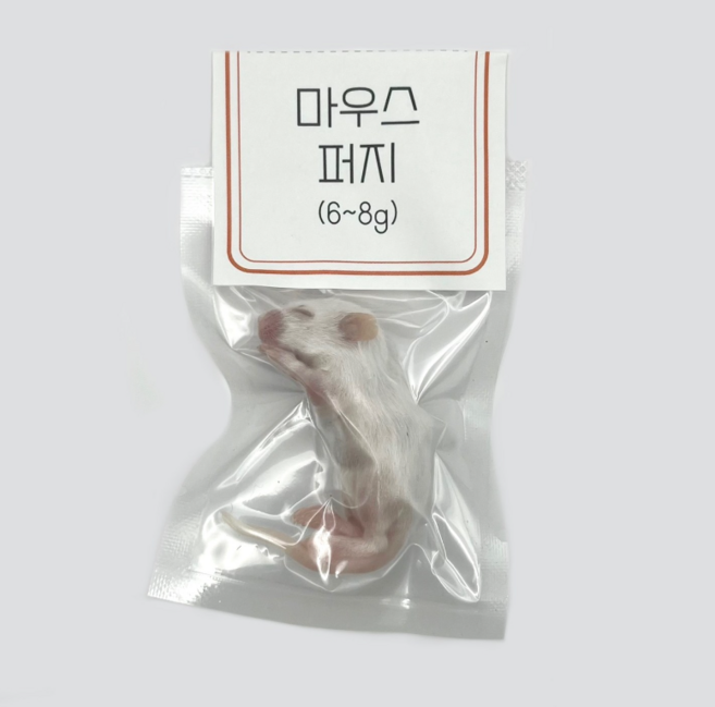 <쥐선생>냉동마우스 1마리 단품 [퍼지] 6~8g(진공포장), 1개, 7g