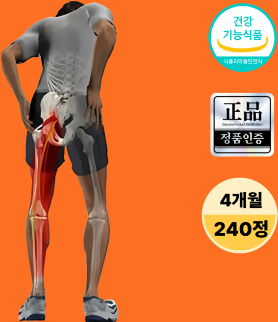 좌골신경통 허리 엉덩이 다리 관절 염 불편함 완하 신경계 개선, 1개, 240정