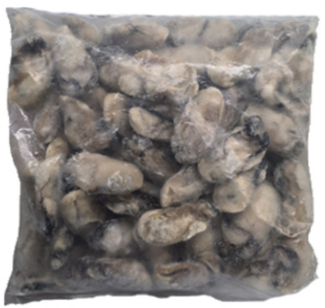 국내산 25년 냉동굴 통영산 IQF, 12개, 1kg