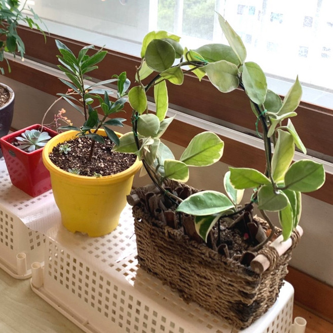 화분지지대 식물받침 정원템플프레임