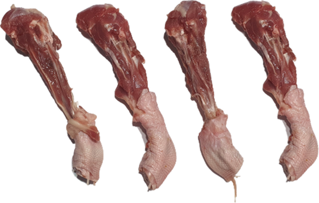 한결컴퍼니 생 오리도가니 대 1kg 냉동 손질 생오리도가니 오리고기 수제간식재료, 1개