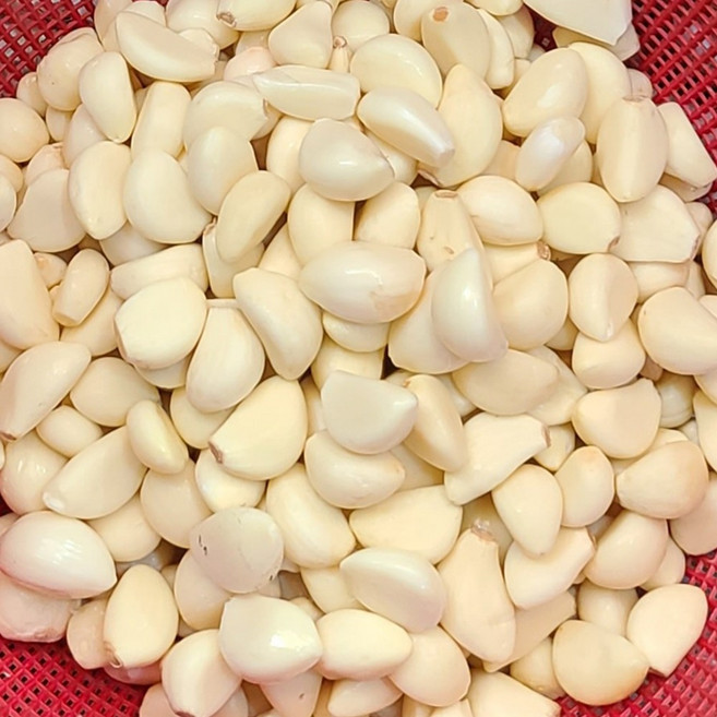 꼭지제거한 25년 국내산 햇깐마늘 생마늘, 1세트, 1kg (중)