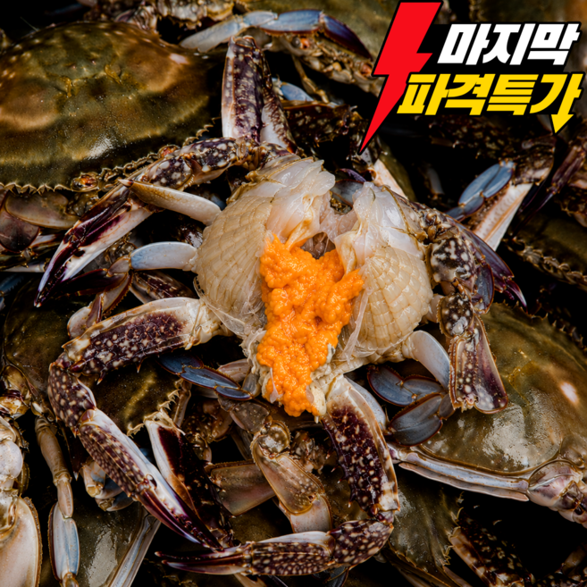 [알배기 특상품] 연평도 활 암꽃게 마지막 한정특가, 1박스, 제철 암꽃게 1kg