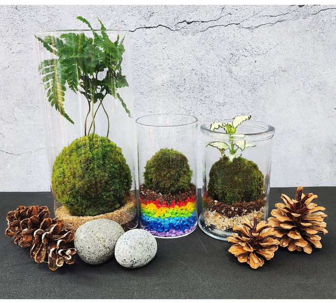 이끼볼 만들기 코케다마 세트 공기정화 습도조절 가는참외이끼 테라리움 diy kit, B-class, 1개