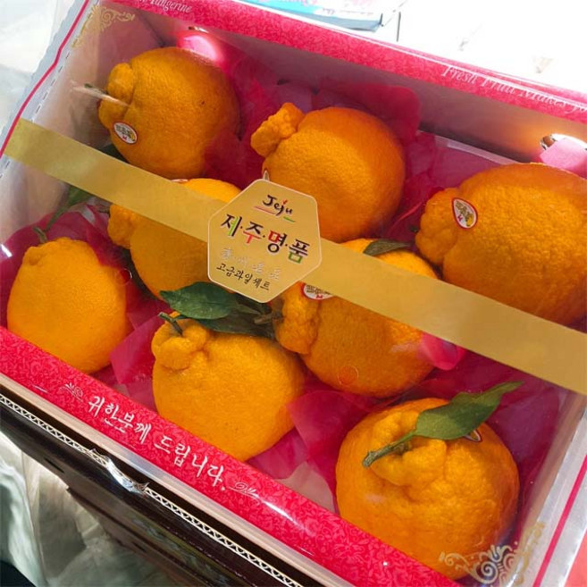 달달과수원 달콤한 한라봉 선물세트, 1박스, 3kg