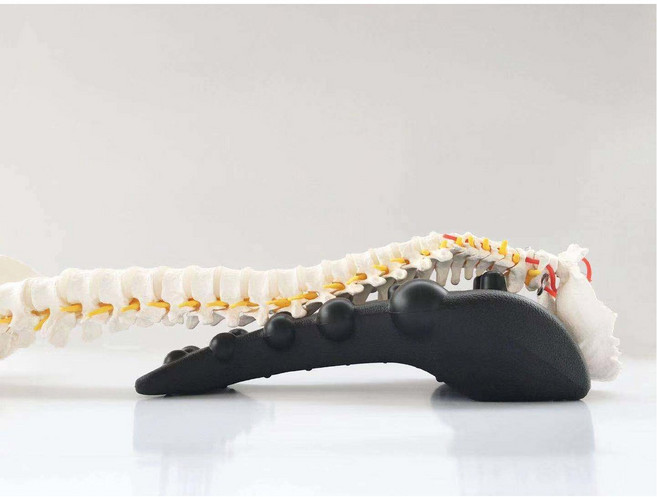 마사지 승모근 뒷목 마사지기계 충전식 어깨목 10D 목마사지기 스트레칭 등마사지, 업그레이드 블랙 릴랙스, 1개, 블랙