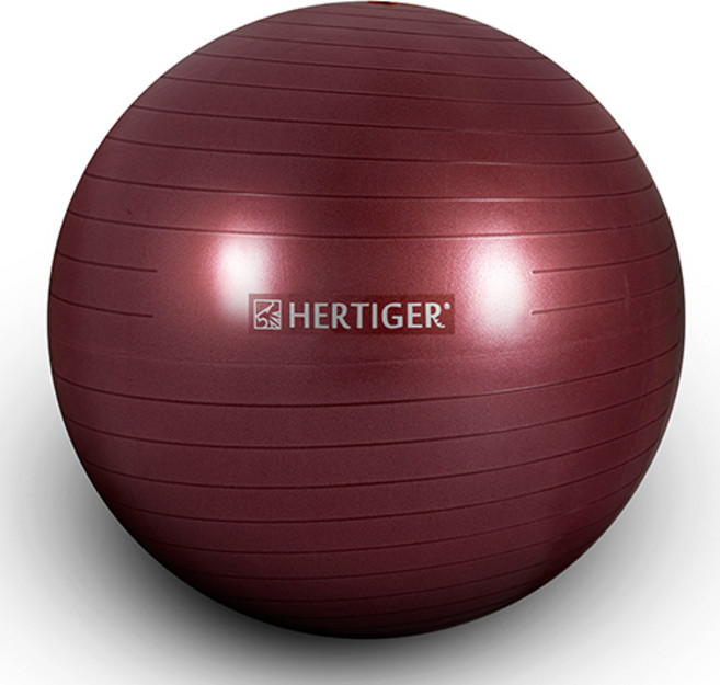 허타이거 임산부 짐볼 안티버스트, 버건디