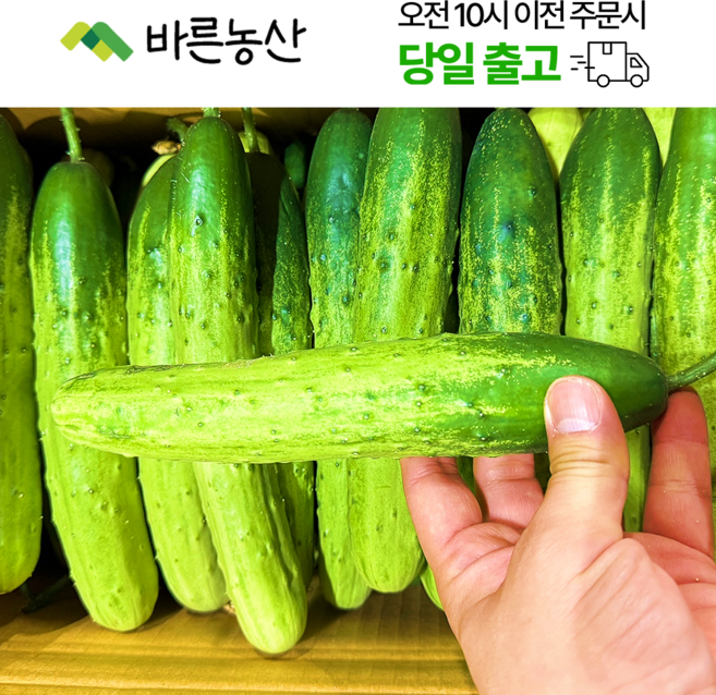 < 바른농산 > 국내산 오이 다다기오이 백오이 (상품) 1박스(35~45개), 35~45개, 1개